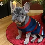 Michele Glinski - @miche1e76 - Instagram