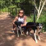 Michelle Goodfellow - @developingsolutionspets - Instagram