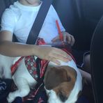 Michelle Goodfellow - Facebook