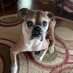 Michelle Goodfellow - Facebook