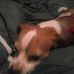 Michelle Gorby - Facebook