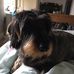Michelle Gore - Facebook