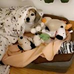 Michelle Gower - Facebook