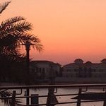 Michelle Gower - @michelle.gower.900 - Instagram