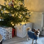 Michelle Gratton - Facebook