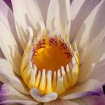 Michelle Grau - @freeindeed78 - Instagram