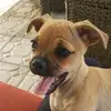 MichelleGrauMora - @michellegraumora - TikTok
