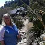 Michelle Brazie-Groth - @thriftygardener - Instagram
