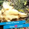 Michelle Groth705 - @user2575351552264 - TikTok