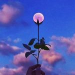 Michelle Guimond - @michelle.guimond.12 - Instagram