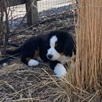 Michelle Guyer - @rockefellerberner - Instagram
