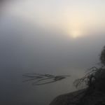 Michelle Rob Hackney - @lumpyshell32 - Instagram