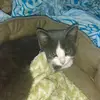 michellehager25 - @michellehager25 - TikTok