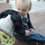 Denise Michelle Haid-Gottleib - @sparklefairy1964 - Instagram