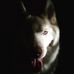Michelle Halbert - Facebook
