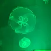 michellehallberg66 - @michellehallberg66 - TikTok