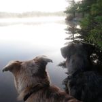 Michelle Vermette-Hallmark - @0hmyd0g - Instagram