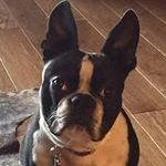 Michelle Tull Hallock - @stumblnh - Instagram