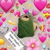 Michelle Halsey - @michellehalsey - TikTok