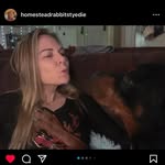 Michelle Hames Hamlett - @nevadadobbermanbreeders - Instagram