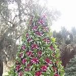 Michelle Hammock - @ke4dqh - Instagram