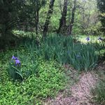 Michelle Hanlon - @mishieh - Instagram