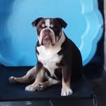 Michelle Hanlon - @michelle_73238 - Instagram