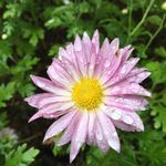 Michelle Harder - @thetravelingharders - Instagram