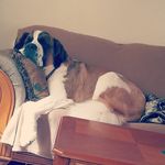 Michelle Hare - @staugmom2013 - Instagram