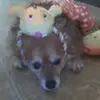 michele harney - @michele.harney - TikTok
