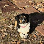Michelle L Harvell - @rockynataliemerchant - Instagram