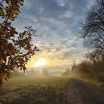 Michelle Heck - @michelle.he99 - Instagram