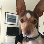 Michelle DeLong Hedges - @_michellehedges_ - Instagram