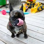 Michelle Hedges - @mhedges777 - Instagram