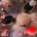 Michelle Hedges - Facebook