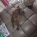 Michelle Hefner - Facebook