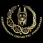 April Michelle Helms - @dobermangeneticprogram - Instagram