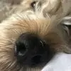 Michelle - @michellehelms - TikTok