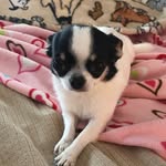 Michelle Helms - @mhelms1207 - Instagram