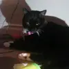 michelleherd71 - @gerrychelle - TikTok