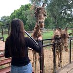 Michelle - @michelle_hermosillo - Instagram