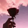 Michelle Hertel - @michellehertel14 - TikTok