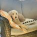 Michele Powell Heuser - Facebook