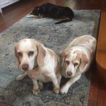 @michelle.heuser - @michelle.heuser5 - Instagram