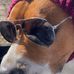 Michelle Hibler - Facebook