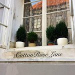 Michelle Higbee - @cottonroselane - Instagram