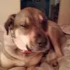 michellehipperlin - @michellehipperlin - TikTok