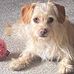 Michelle Hipple - Facebook