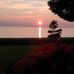 Michelle Hobaugh Martin - Facebook