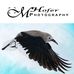 Michelle Hofer Photography - Facebook